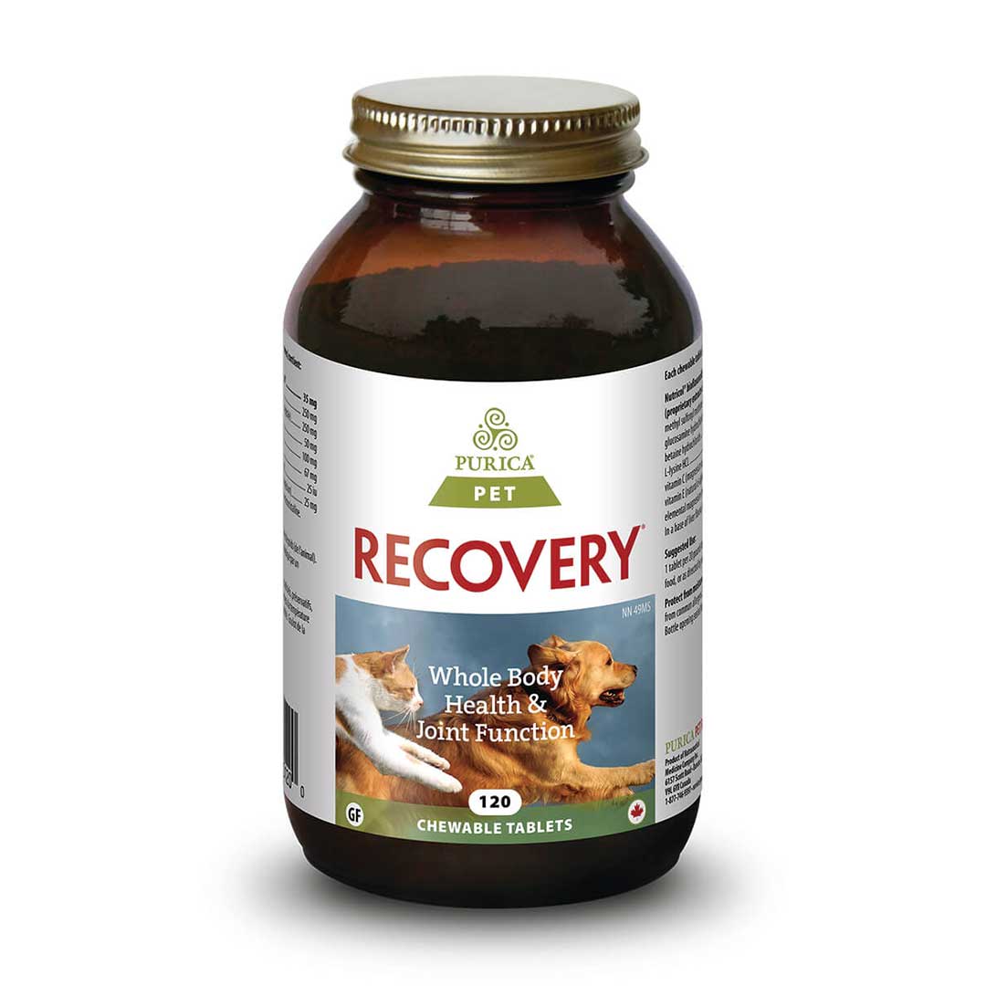 Purica Pet Recovery
Beef Liver Chewable Tablets