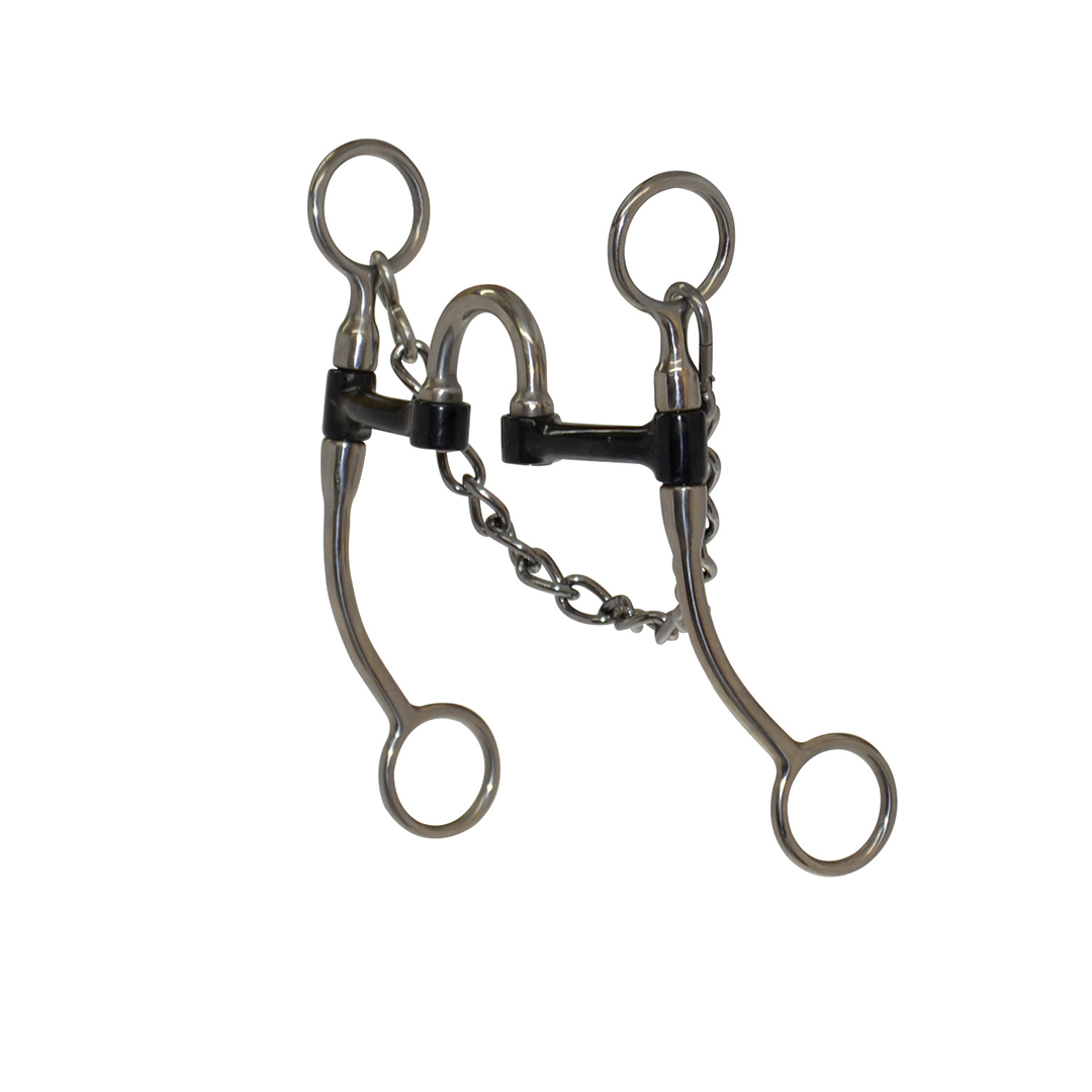 Reinsman Sweet Iron Correction Bit