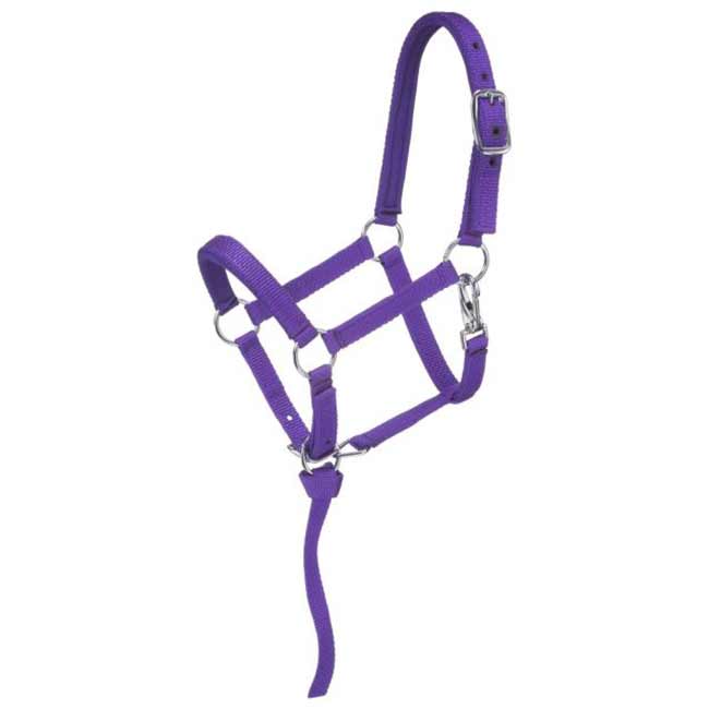 Tough 1 Miniature Nylon Padded Halter