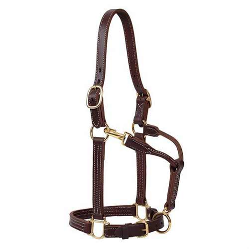 Weaver Canyon Rose 1" Track Halter