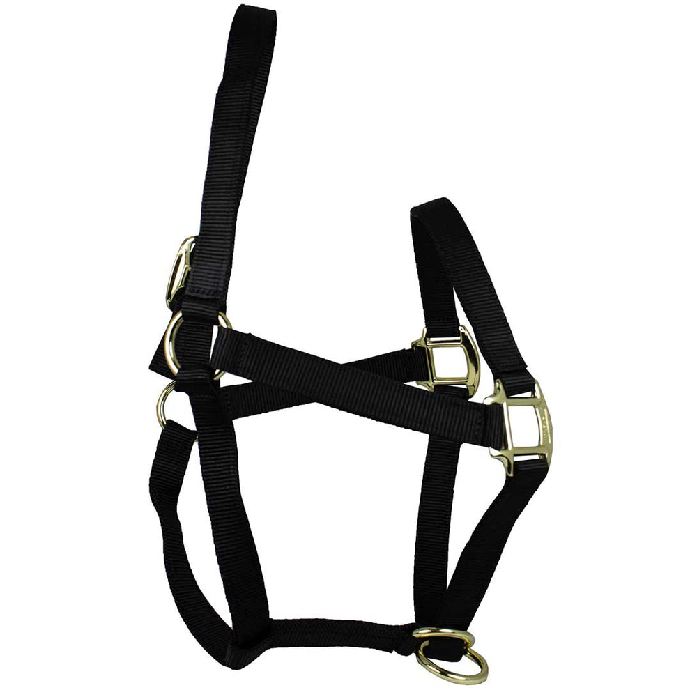 Western Rawhide The Old Timer Halter